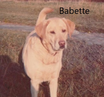 Babette