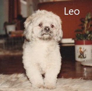 Leo